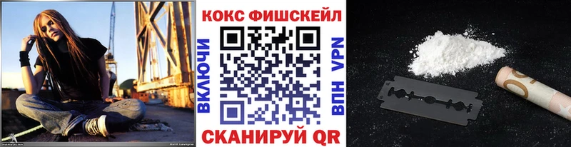КОКАИН Fish Scale  Купить  Ленинск 